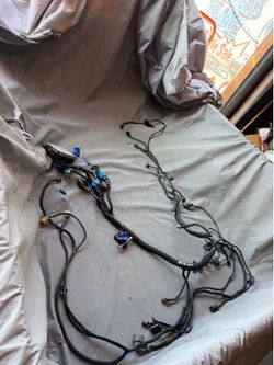 Standalone harness