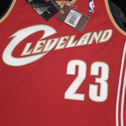 Cleveland Cavaliers LeBron James 2003-04 Swingman Jersey