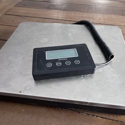 Commercial Kitchen scale