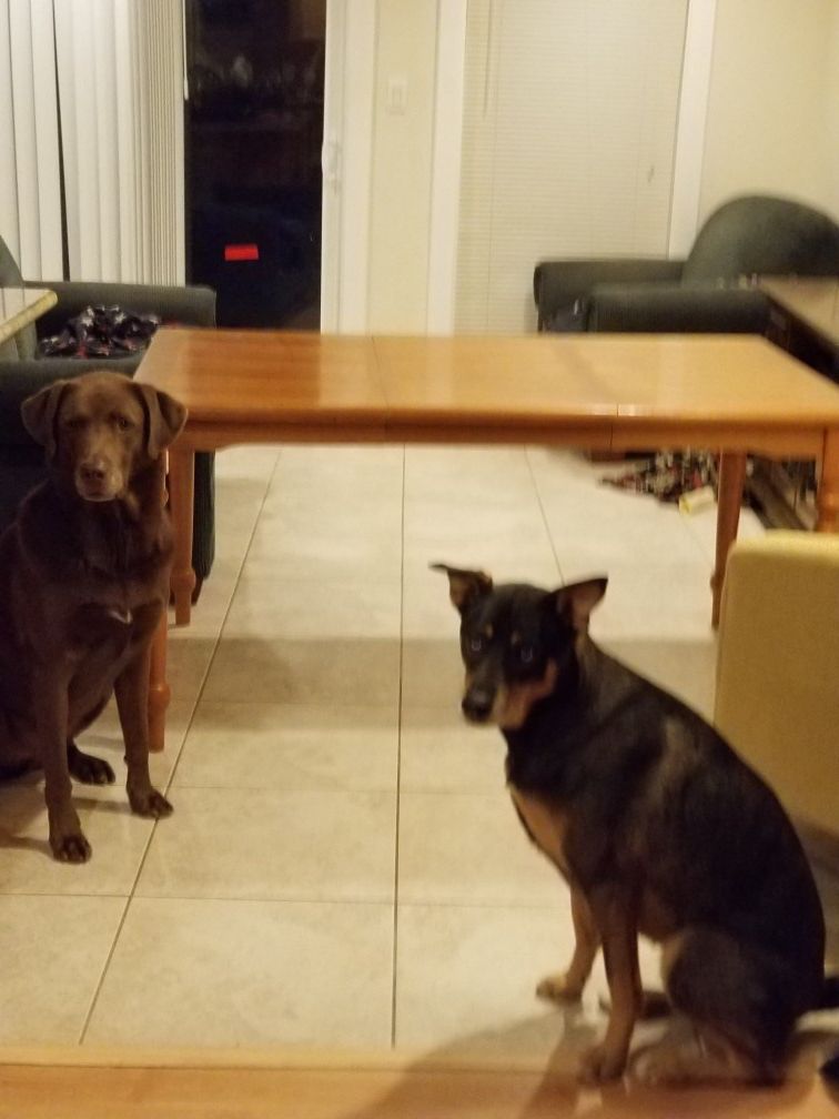 Dining Room Table w/ 6 Chairs