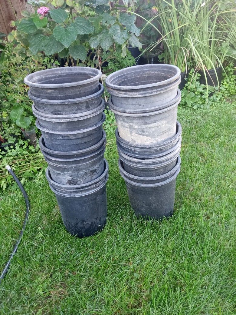 botes de 5 galones de $1 Y de $2