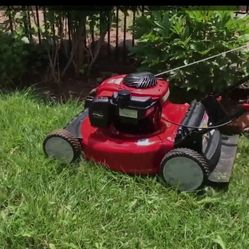 Used Push Mower And Like New Weed Eater
