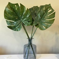 Vase And Aesthetic Leaves