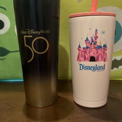 Disney Starbucks Tumblers 