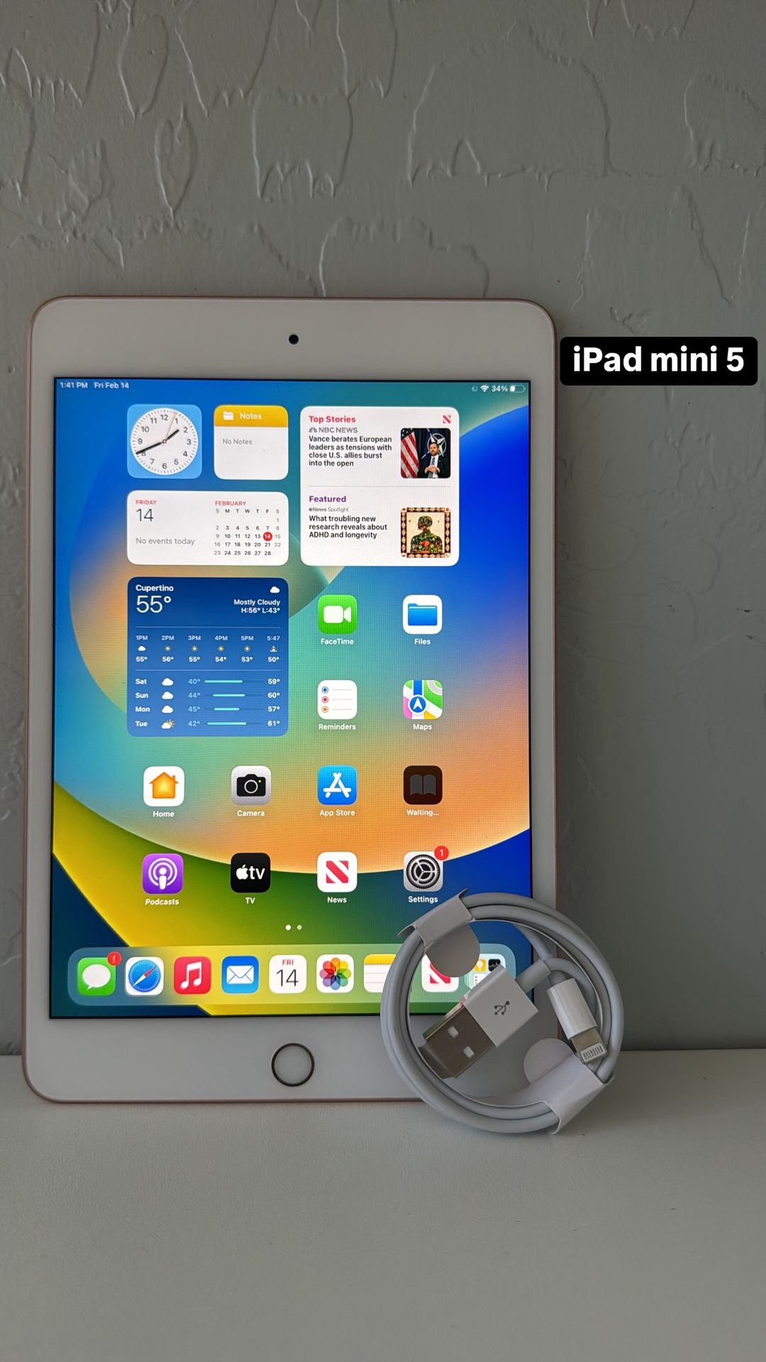 iPad Mini 5. Like New And Unlocked!