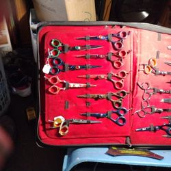 Professional  Hair Cutting  Scissors