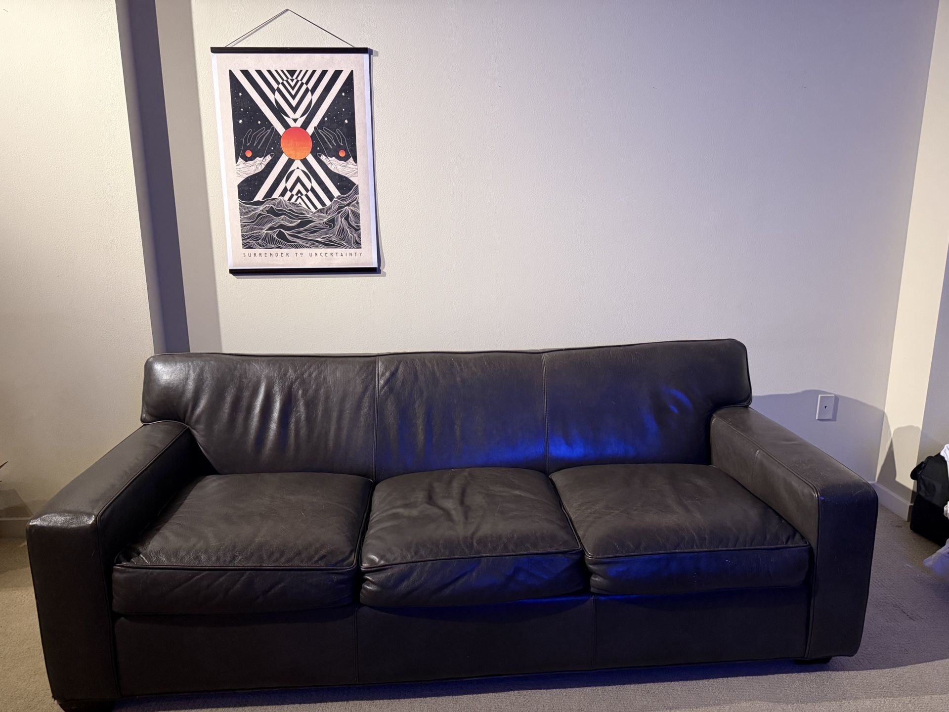 Crate and Barrel Leather Queen Sleeper