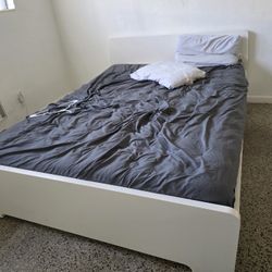Bed Couch For Free