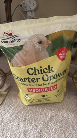 Chick food