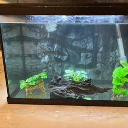 20 gallon aquarium for sale