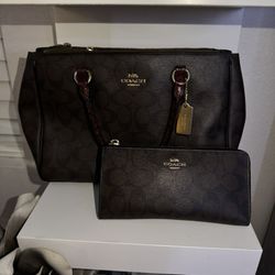 Bolsa Y Cartera En Buenas Condiciones $140 Por Las 2