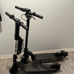 Scooter Gotrax And Bird 