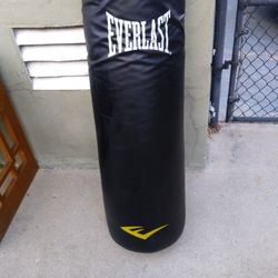 Everlast Punch Bag 