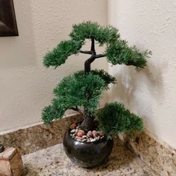 Bonzi Style Tree In Ceramic Pot 