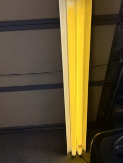 2 Lamp Fluorescent Light