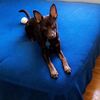 Jack