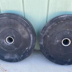 Bumper Weights 45 Pounds Each 