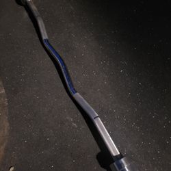 Olympic curl bar 