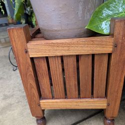 Moving Plant Sale $5.00 To $50.00 All Kinds Of Deals