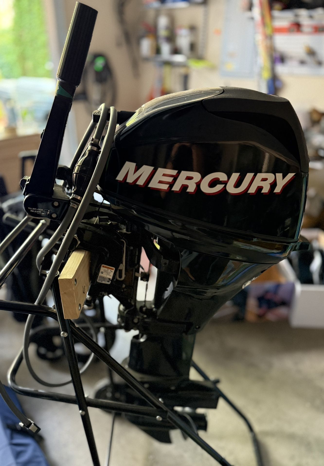 2008 Mercury 20hp Four Stroke