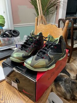 Lebron 11 Kings Pride 