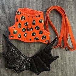 Harness + Leash + Bat Costume