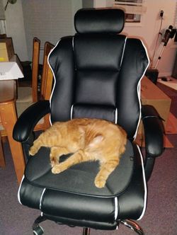 Black And White Gaming Chair With Heat And Massage 