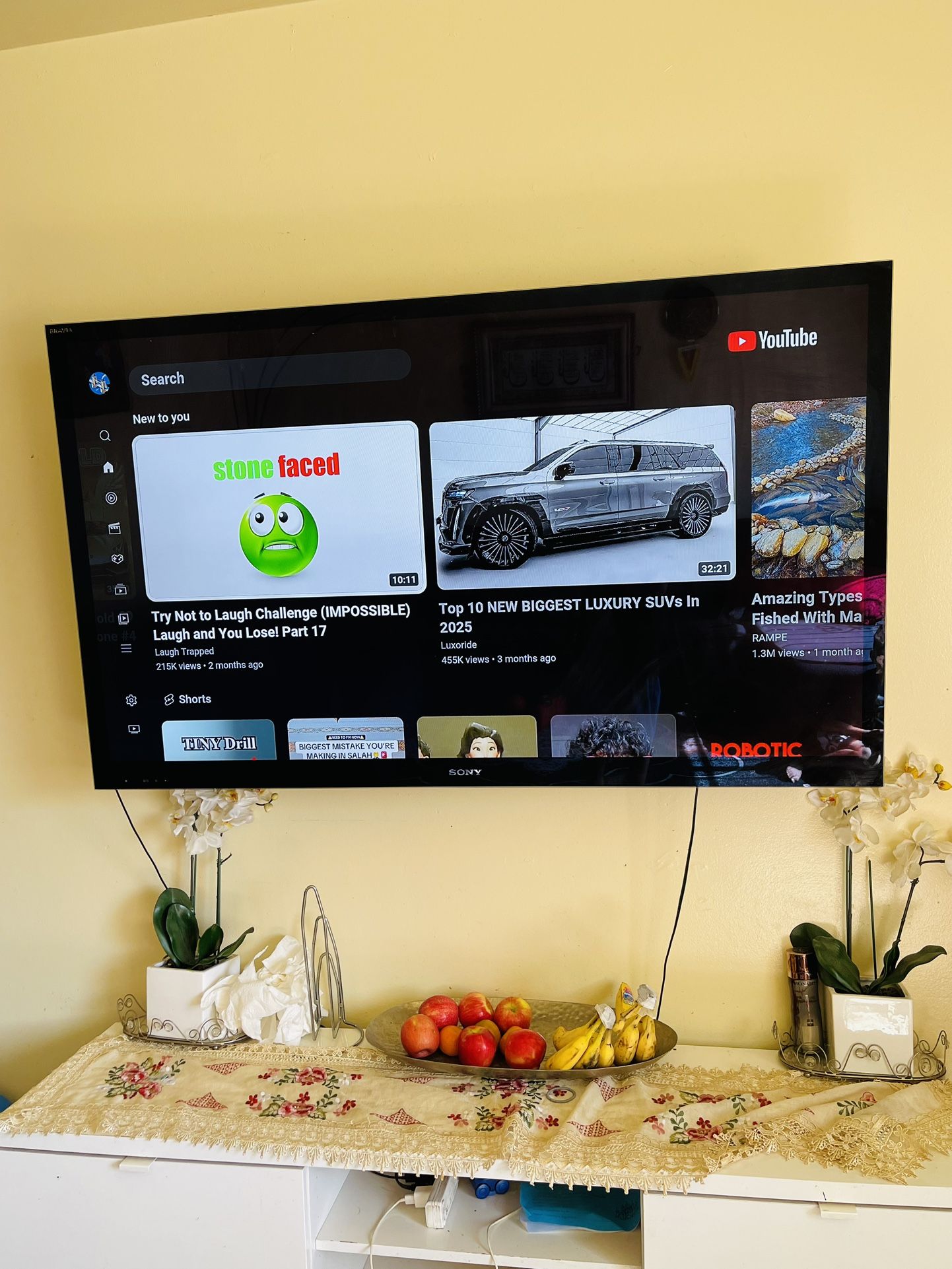 Sony Bravia Tv