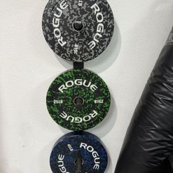 PRX Wall Weight Plate Storage