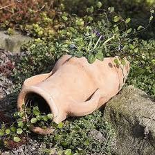 Terra Cotta Planter