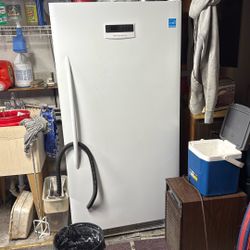 Standup Freezer