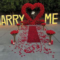 Proposal Set Up 
