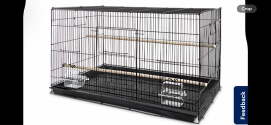 Cage Finches Sale