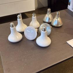 FREE flood light bulbs