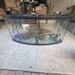 Fish Tank