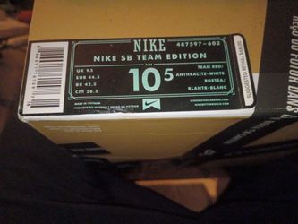 Nike SB team edition  10 1/2
