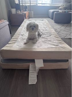Queen Mattress foldable box spring