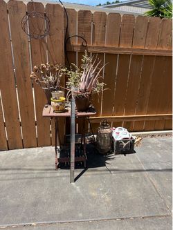 Free plants and outdoor items