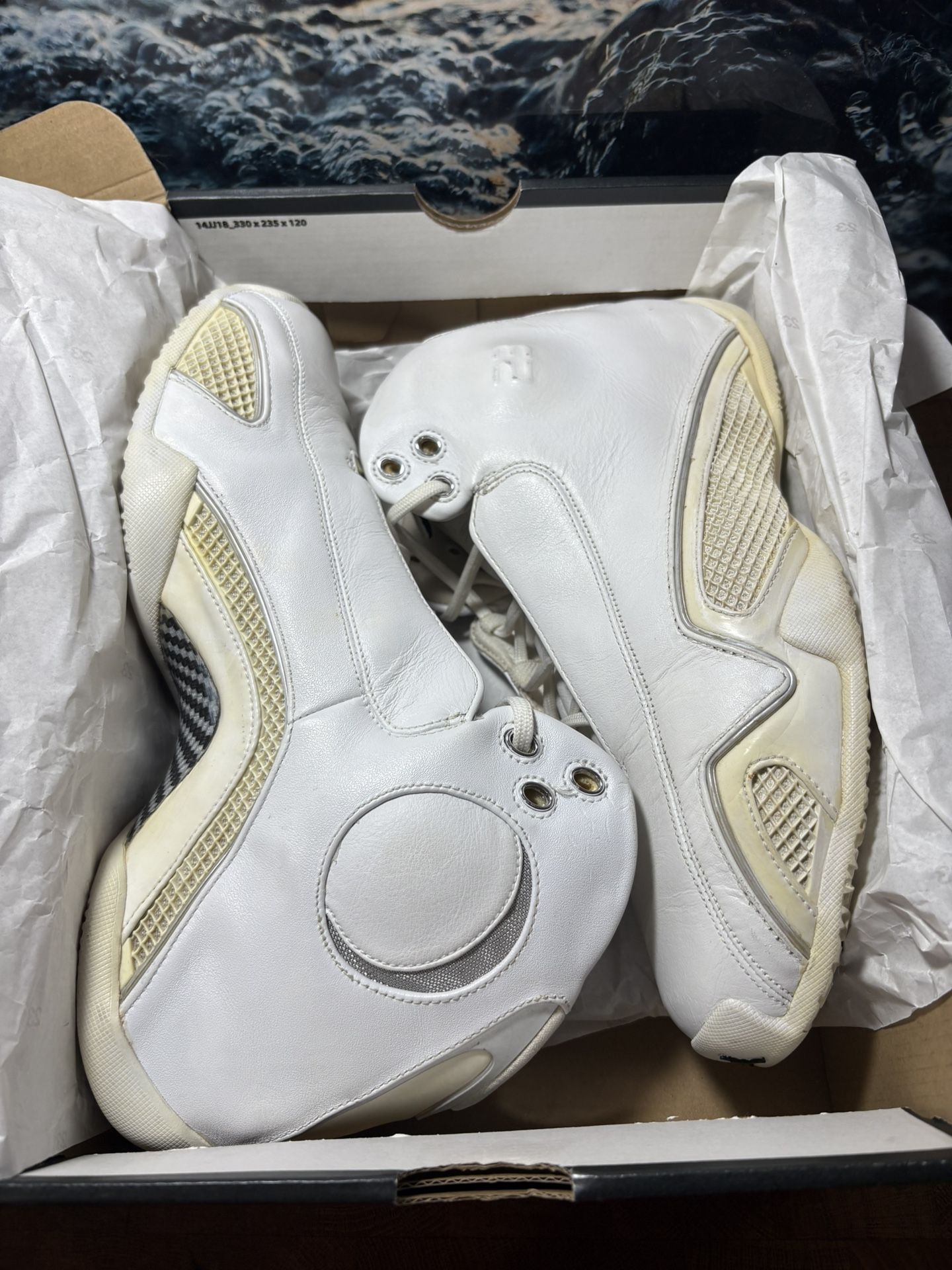 Air Jordan 21 OG White 2006