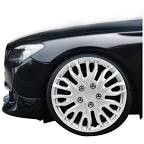 WH141-17S 17" Silver Wheel Cover