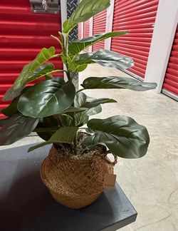 Artificial Plant