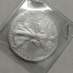2024 Silver Eagle 