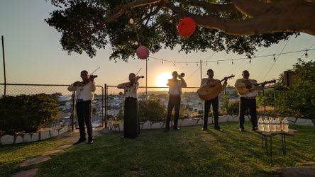 Mariachis Mariachi Musica