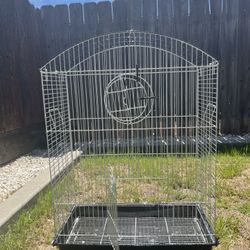Bird Cage 