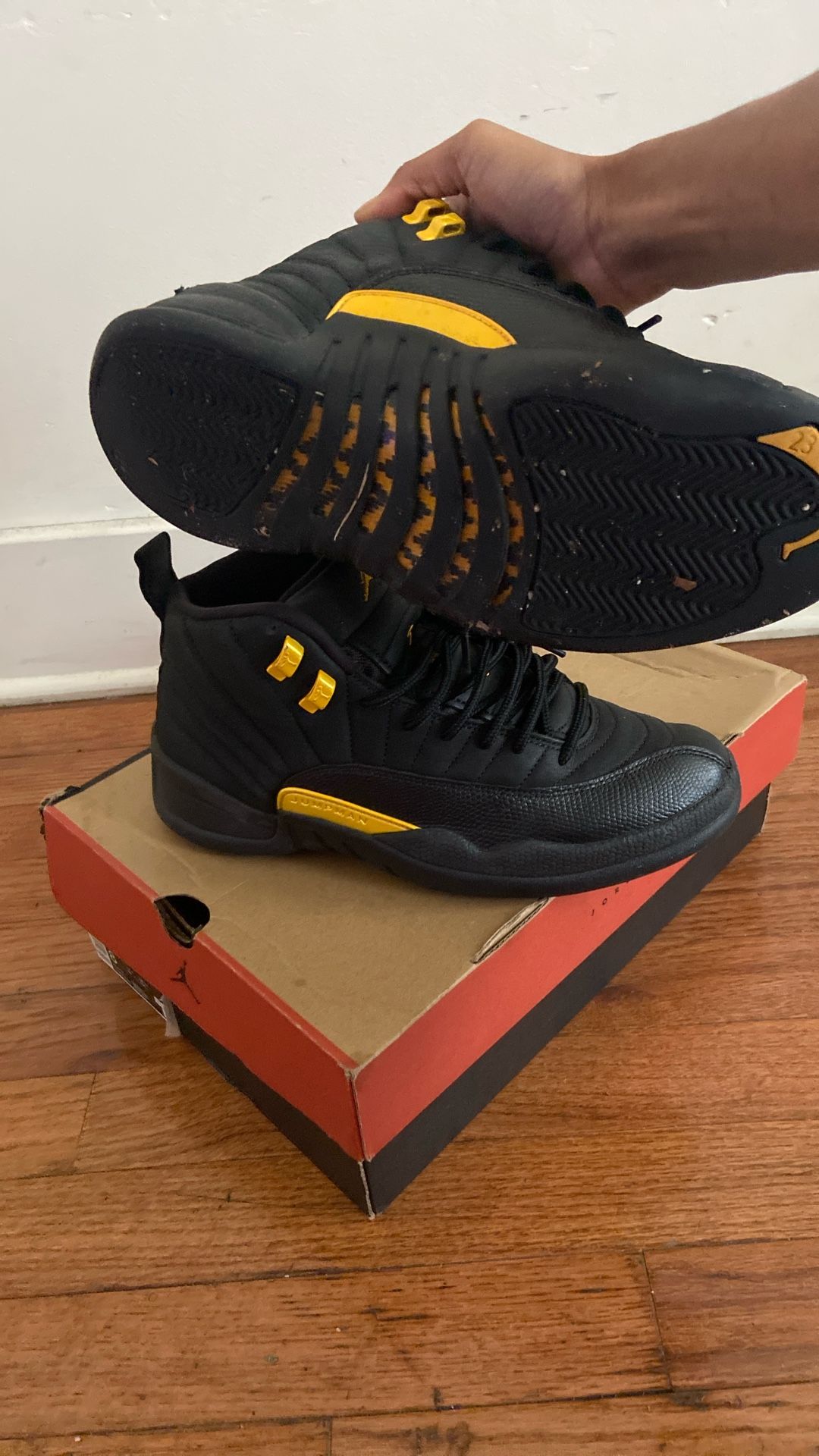 Jordan 12