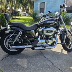 2008 Harley Sportster 1200XL Low
Only 5135 Miles 