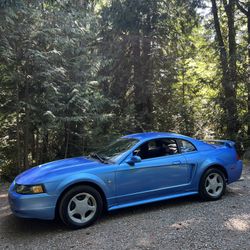 2003 Ford Mustang