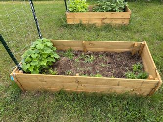 Garden beds