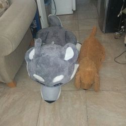 Teddy Bears 2 for $7