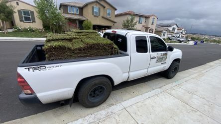 St Augustine Grass Installation